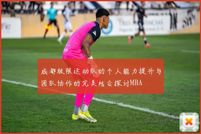 成都极限运动队的个人能力提升与团队协作的完美结合探讨MBA