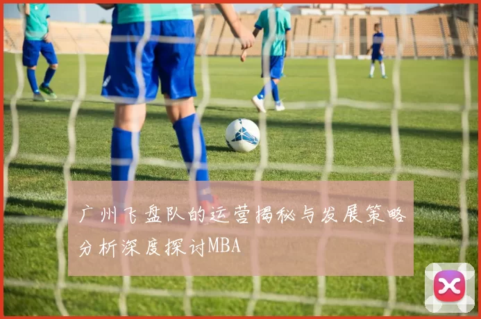 广州飞盘队的运营揭秘与发展策略分析深度探讨MBA